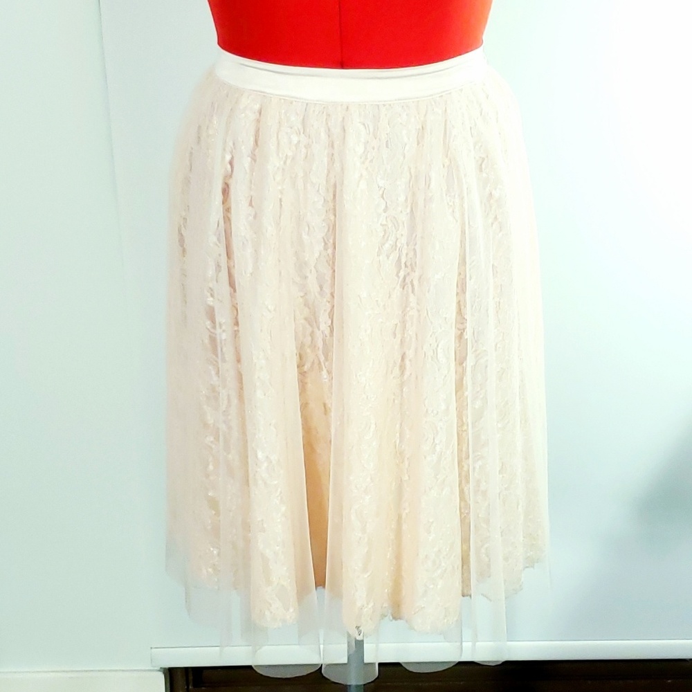 NWOT Forever 21 Lace & Tulle Midi Skirt - Pink L